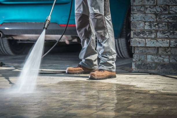 Best Warehouse Cleaning  in Williamson, WV