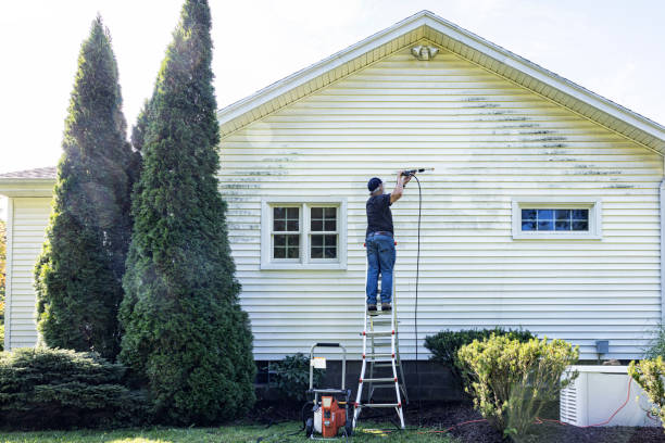 Best Sidewalk and Walkway Cleaning  in Williamson, WV