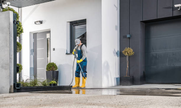 Best Solar Panel Cleaning  in Williamson, WV
